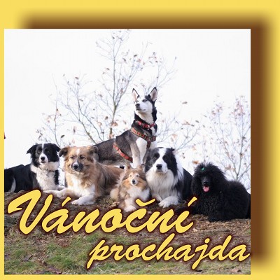 Vánoční prochajda