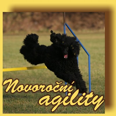 Novoroční agility