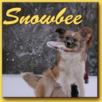 Snowbee