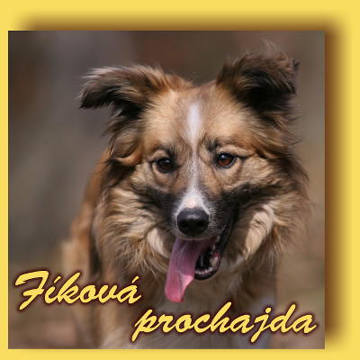 Fíková prochajda
