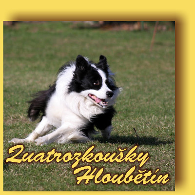 Quatrozkoušky Hloubětín