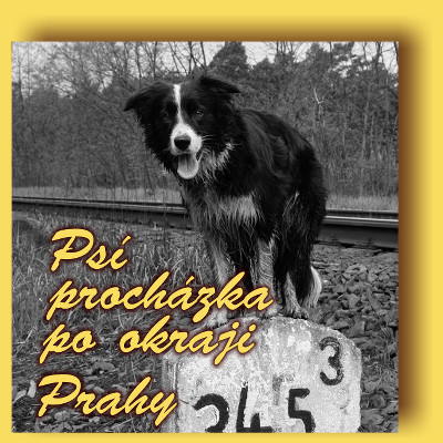 Psí prochajda po okraji Prahy