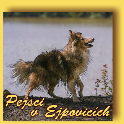 Pejsci v Ejpovicích