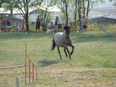 Trénuje opravdu každý