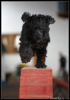 Abadessans Caffé Doppio