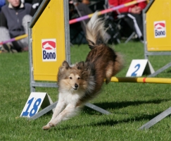 Queen Christine z Arcamony