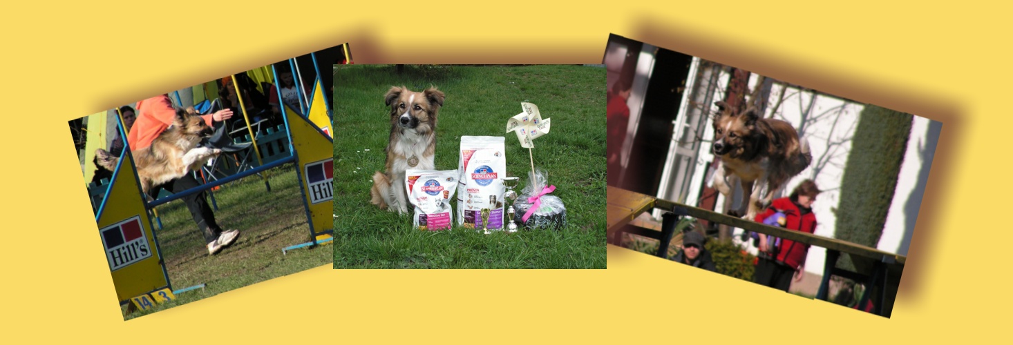 Enigmatic Entity Mintaka