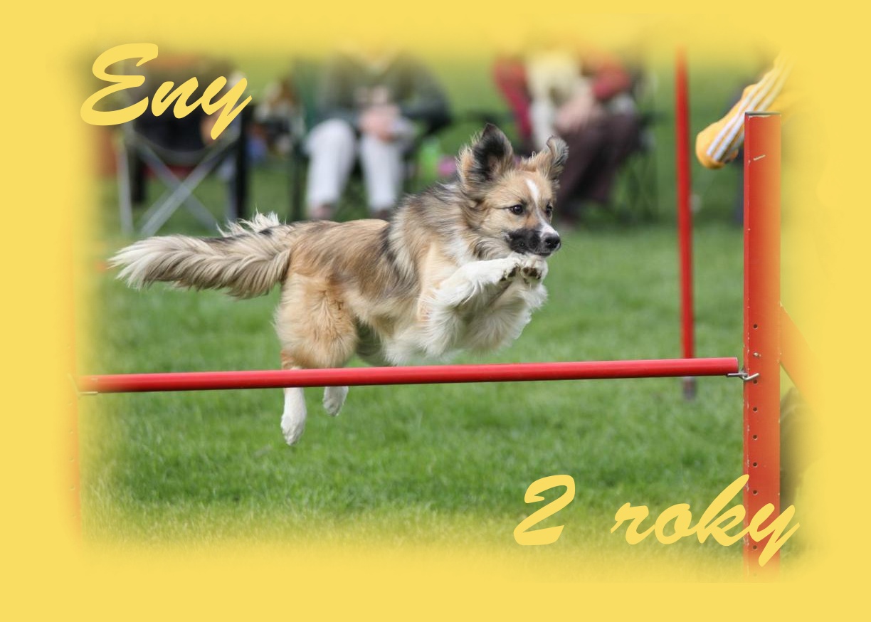 Enigmatic Entity Mintaka