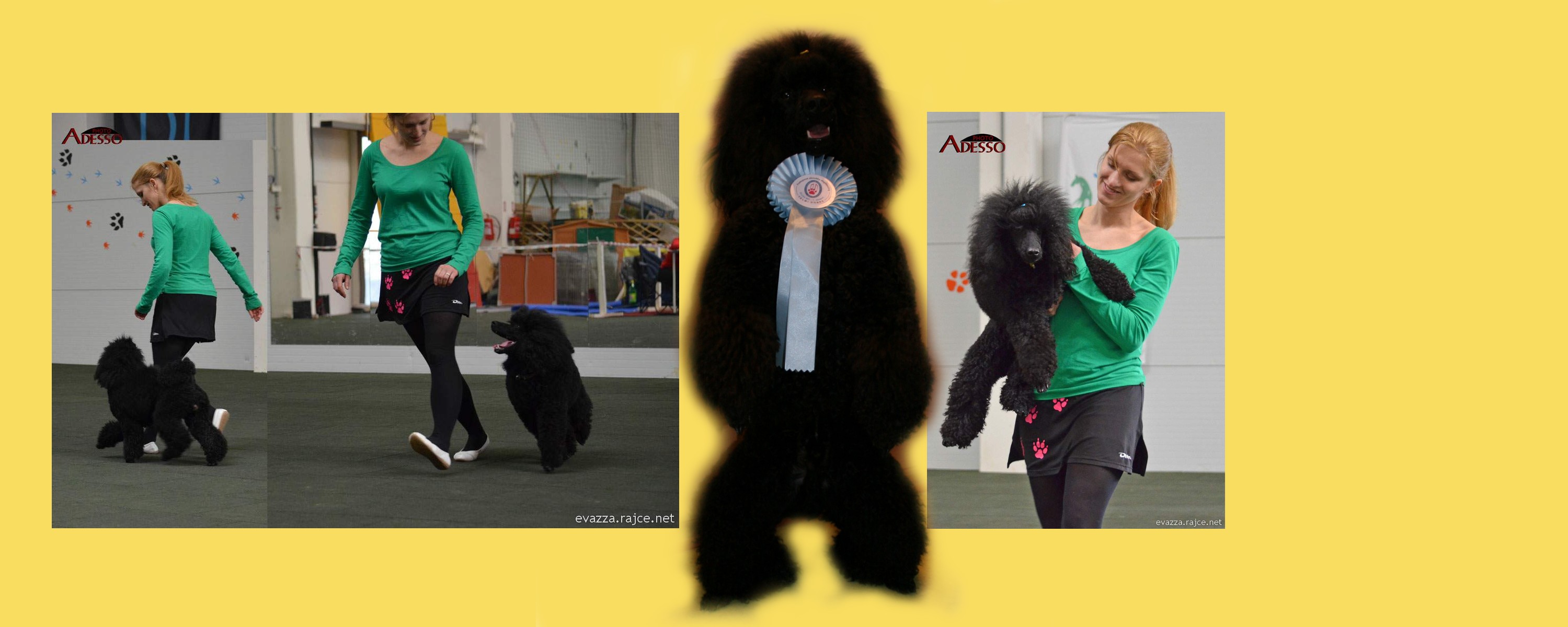 Pip Dogdancing